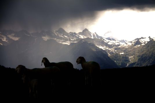 Sdtirol Auenjoch im Sarntal (1) klein